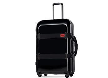 Large Luggage