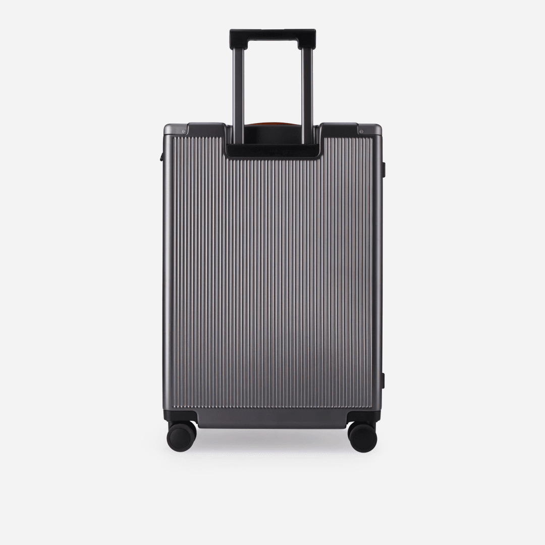 Jekyll & Hide Medium Check - In 67cm (70 L), Silver - Love Luggage