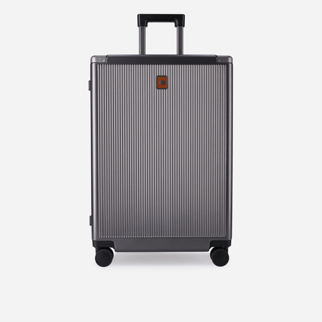 Jekyll & Hide Medium Check - In 67cm (70 L), Silver - Love Luggage