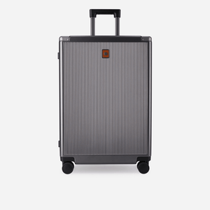 Jekyll & Hide Medium Check - In 67cm (70 L), Silver - Love Luggage