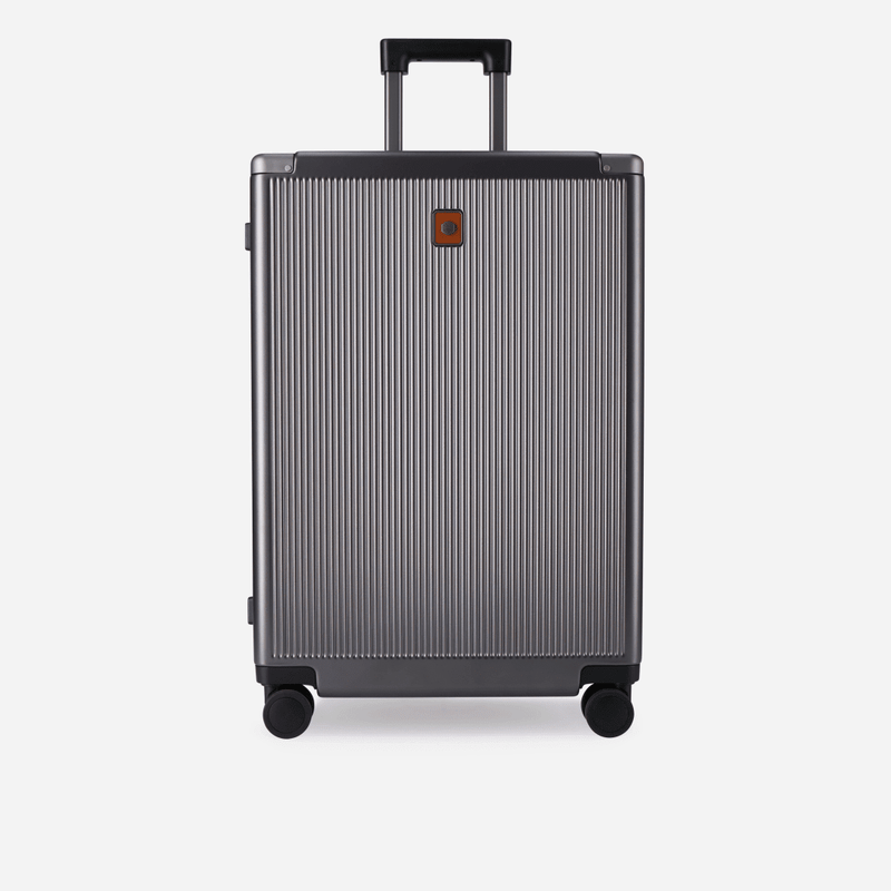 Jekyll & Hide Medium Check - In 67cm (70 L), Silver - Love Luggage