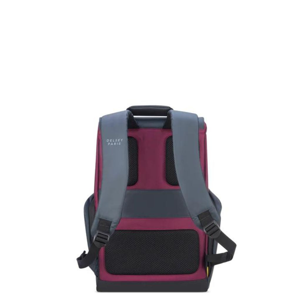 Shops delsey paris backpack